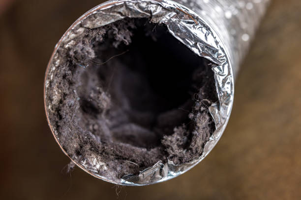 Best Air Duct Cleaning Near Me  in Waukon, IA